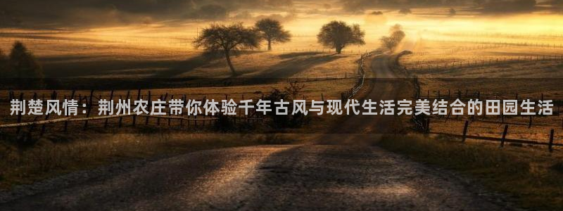 必一体育app官方网站