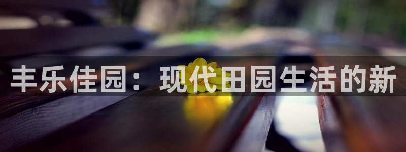 必一体育运动app下载