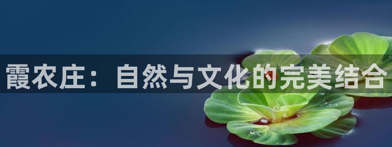必一运动听的歌
