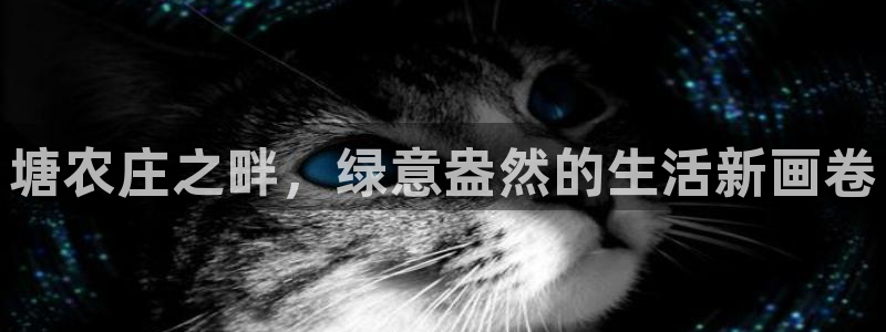 必一体育全站在线登录入口
