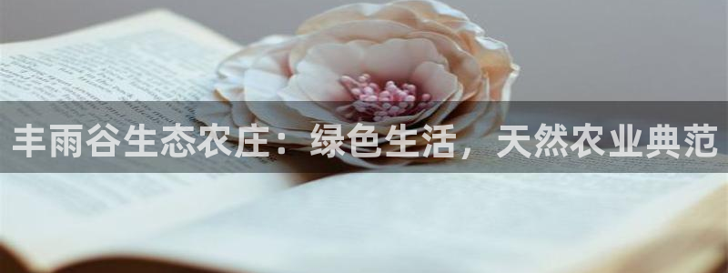 必一体育登录入口APP