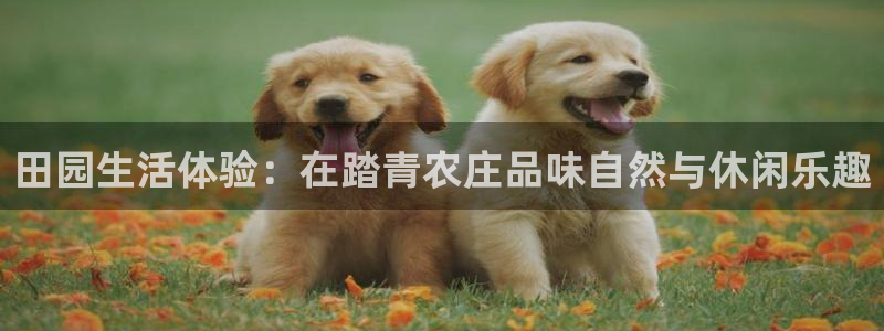 必一运动·(b-sports)官方网站