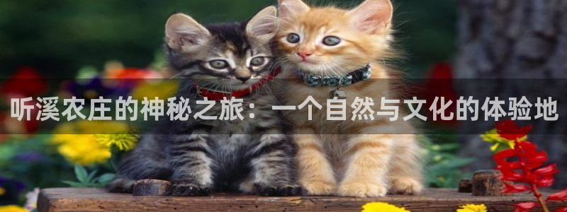 b体育官网下载入口app必一
