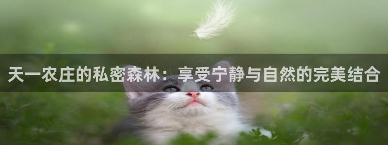 必一运动sport爱查股