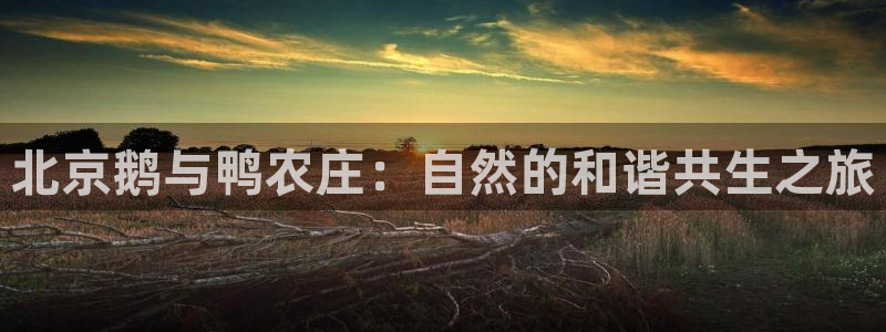 必一体育app下载装机吧