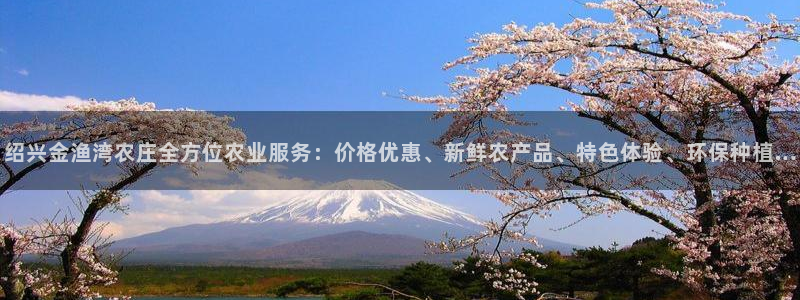 必一体育下载登入