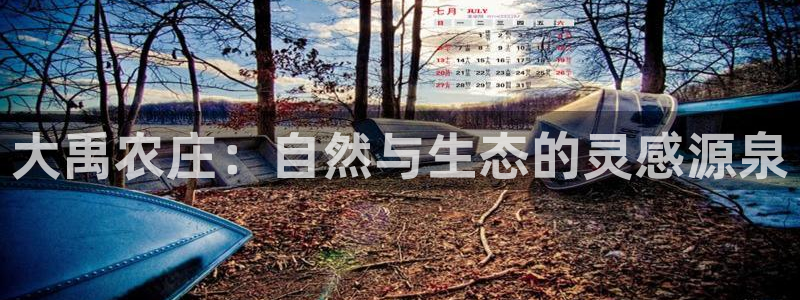 必一体育网页登陆