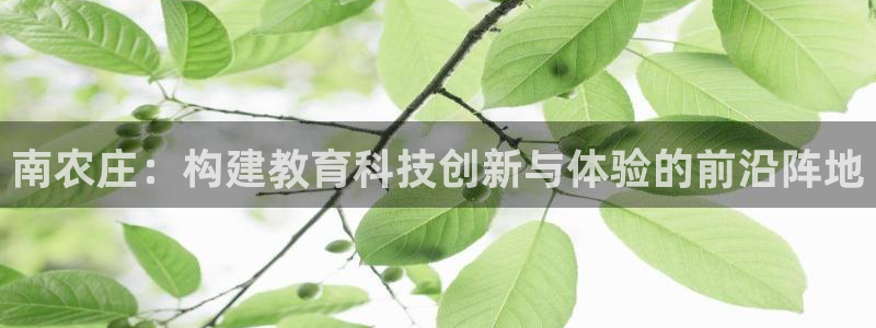 必一体育黑平台