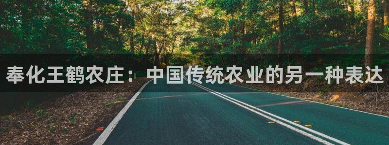 必一体育下载秀给网