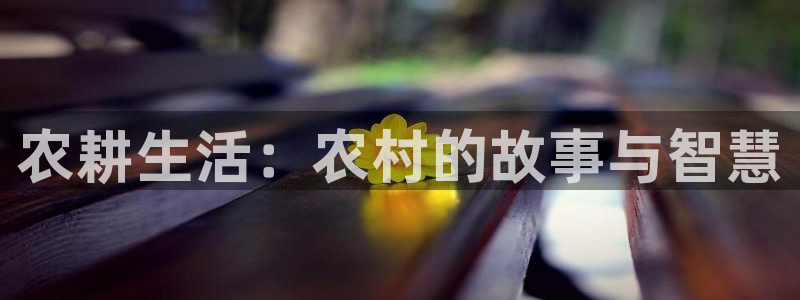 必一体育官方入口