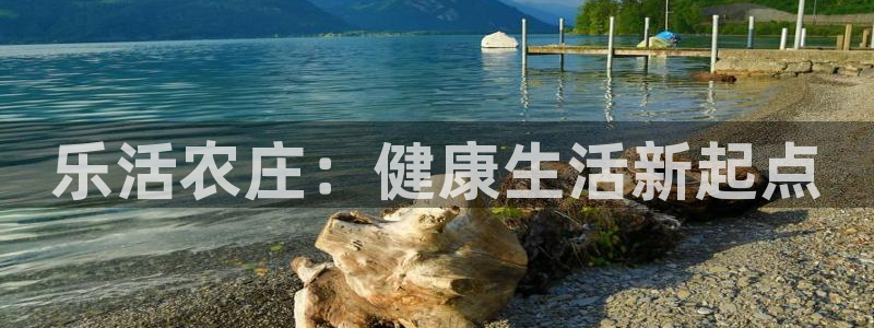 必一体育app官方