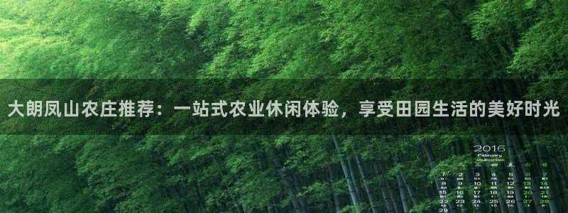 b体育必一运动网页版在线登录入口