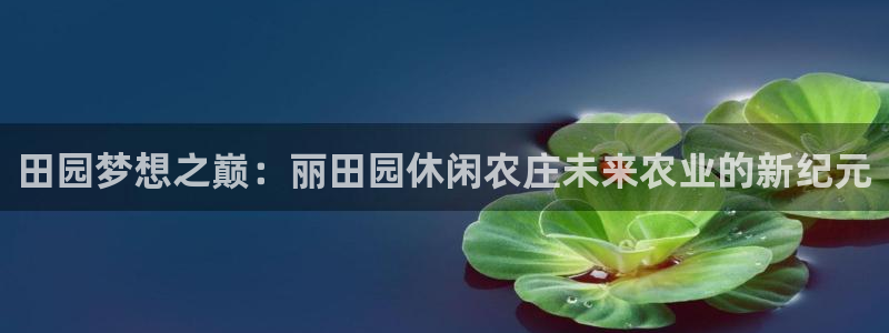 必一体育网址