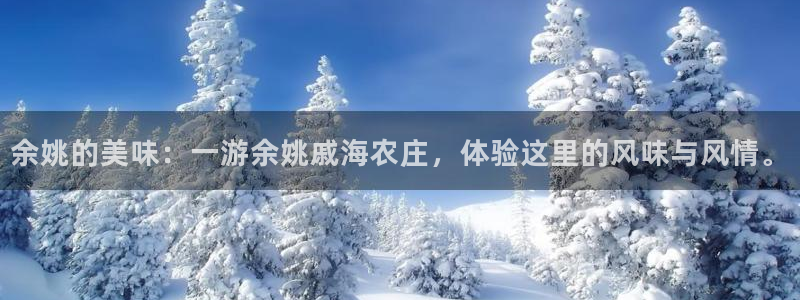 必一体育官方下载
