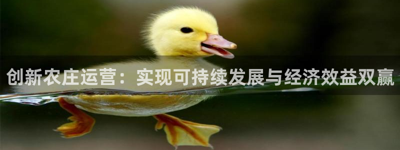 必一体育APP下载安装