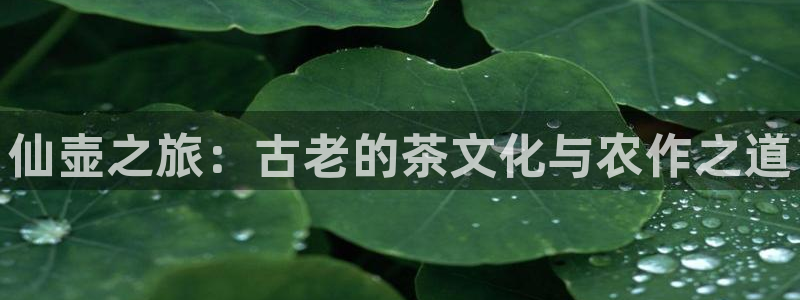 必一运动官网平台