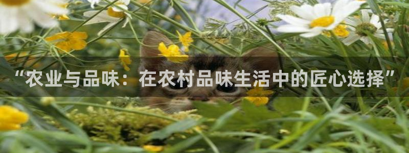 必一运动·(B-Sports)