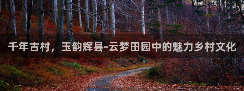 必一体育验证码