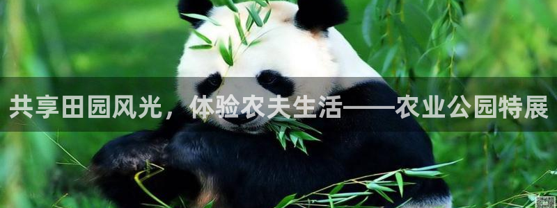 必一体育手机下载