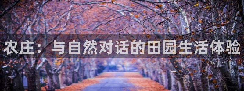 必一体育bsport下载