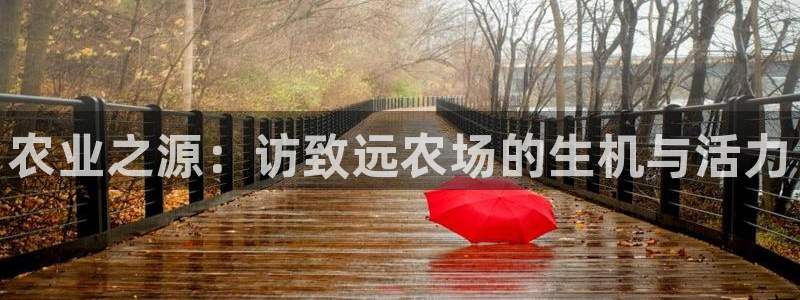 必一体育在线官网