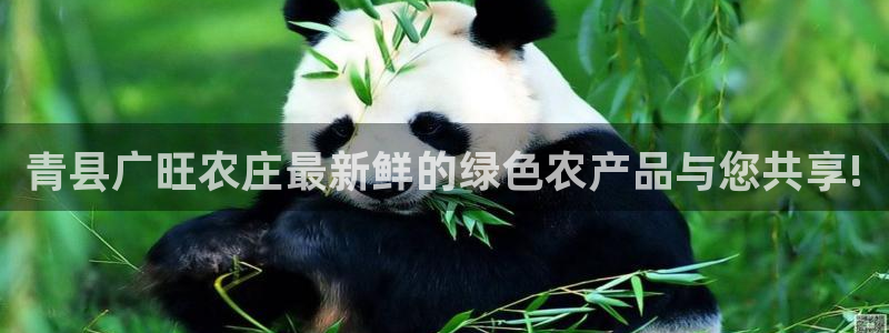 必一运动·体育