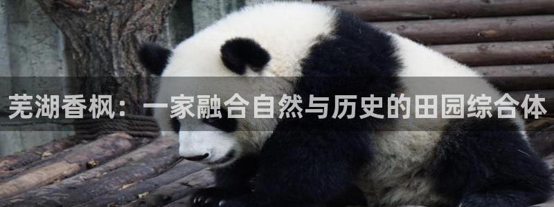 必一体育app下载最新版本苹果