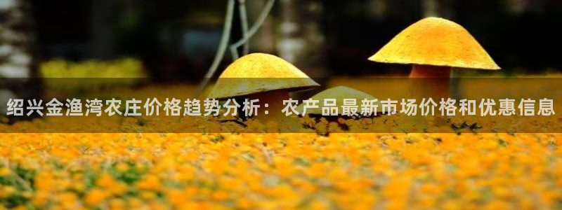必一运动·(b-sports)官方网站