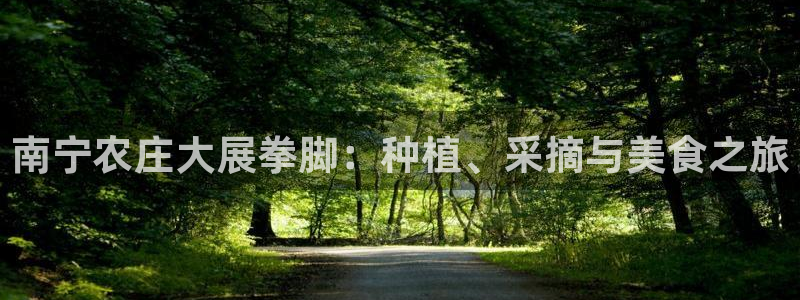 必一体育游戏特色