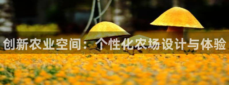 必一体育下载入口