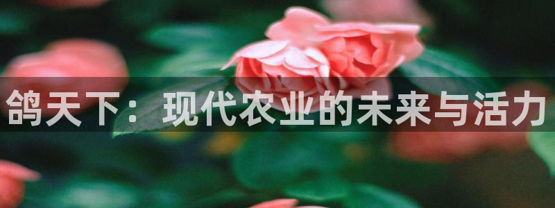 必一体育在线入口