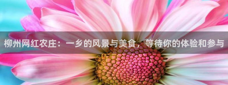 必一体育皮尔斯