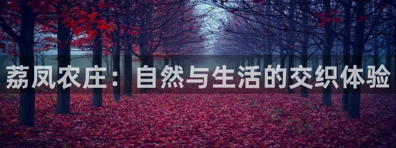 必一体育APP