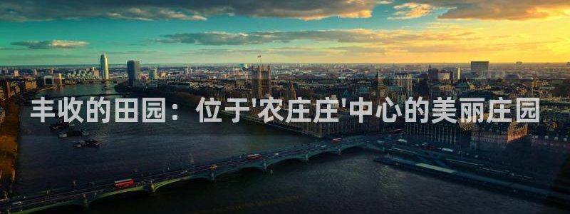 必一体育电子app