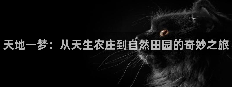 必一体育app平台下载