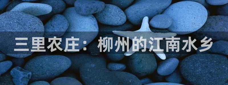 必一运动体育官网