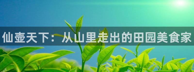 必一体育平台