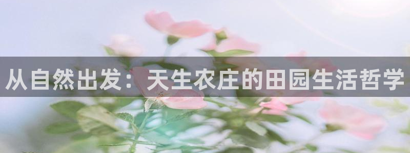 必一体育平台