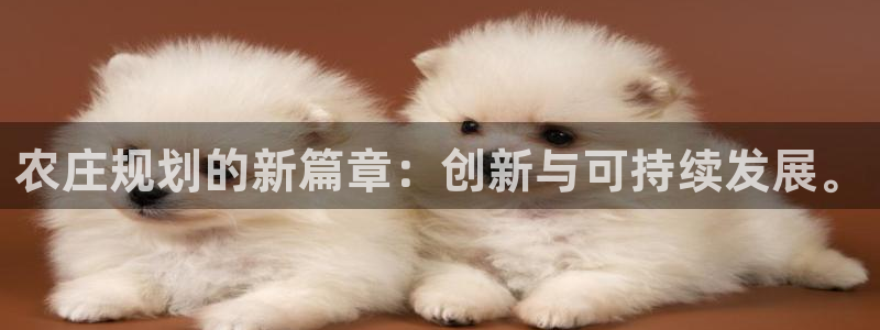 必一体育电子app