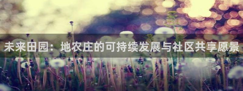 必一体育游戏特色