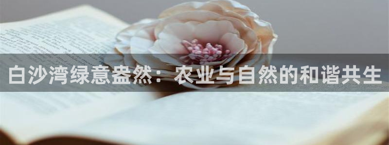 必一体育官方下载入口