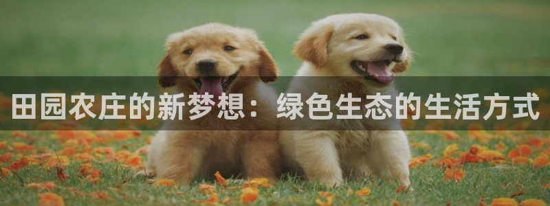 必一运动体育官网