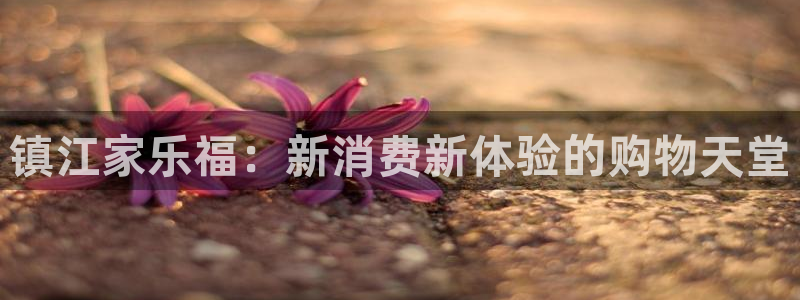 必一运动·(B-Sports)土豆