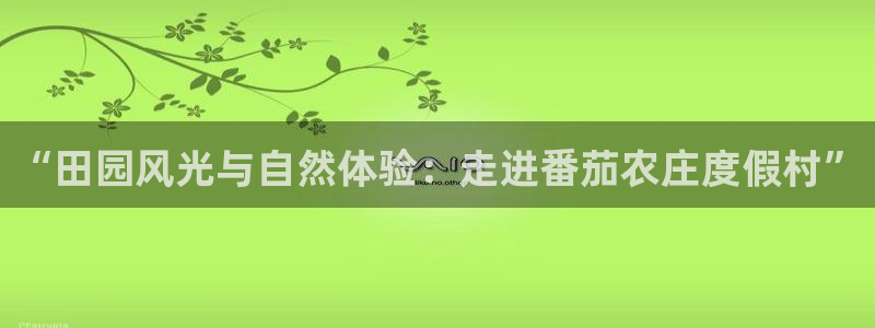 必一体育是哪里的台子