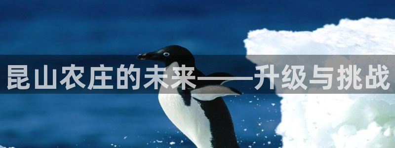 必一体育最新官网入口首页