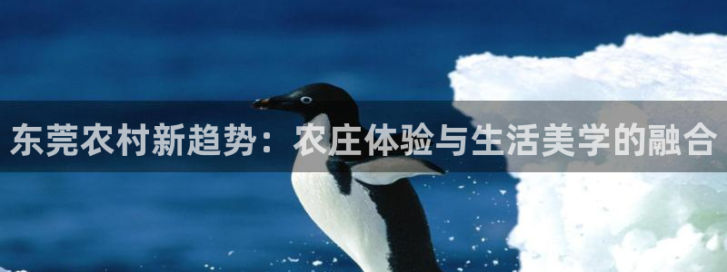 必一运动sport网页版