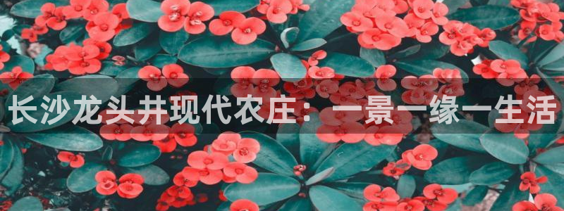 必一体育app官方正版下载