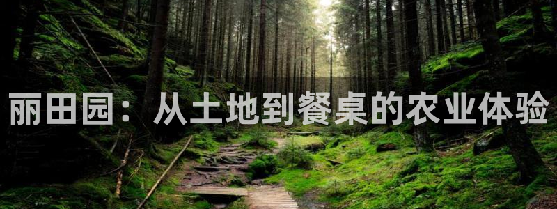 必一运动体育app