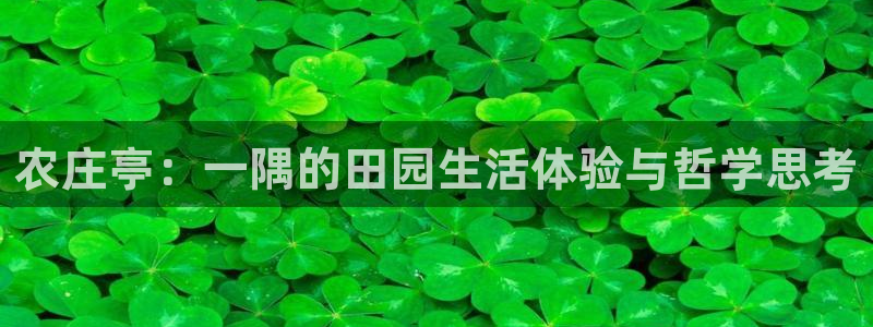 必一运动sport爱查股