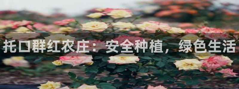 必一体育在线官网